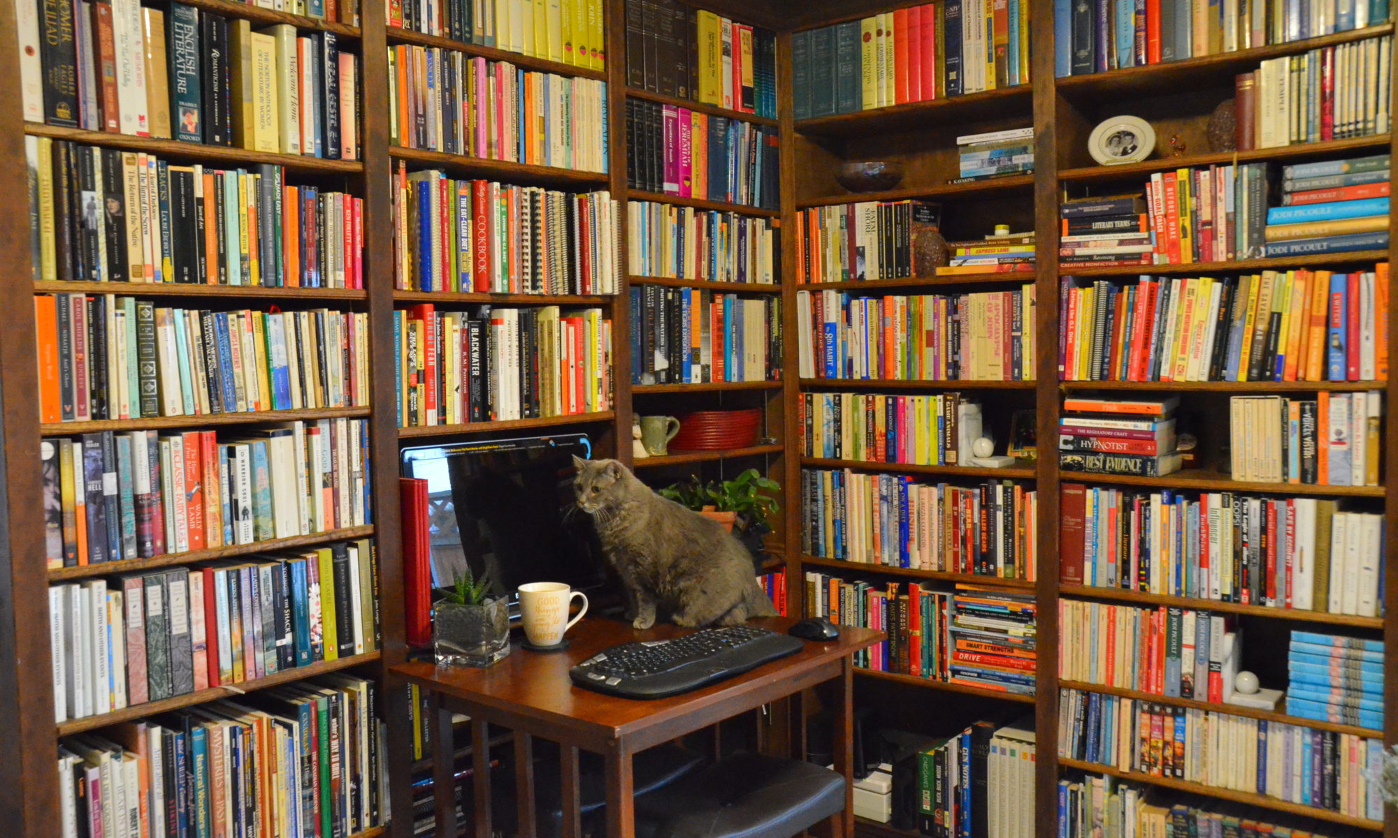 The cat sitting by the computer in front of a bookcase symbolizes what I achieved when I quit chasing the Red Queen