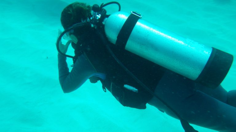 Aliveness: 5 Factors Explored through Scuba Diving