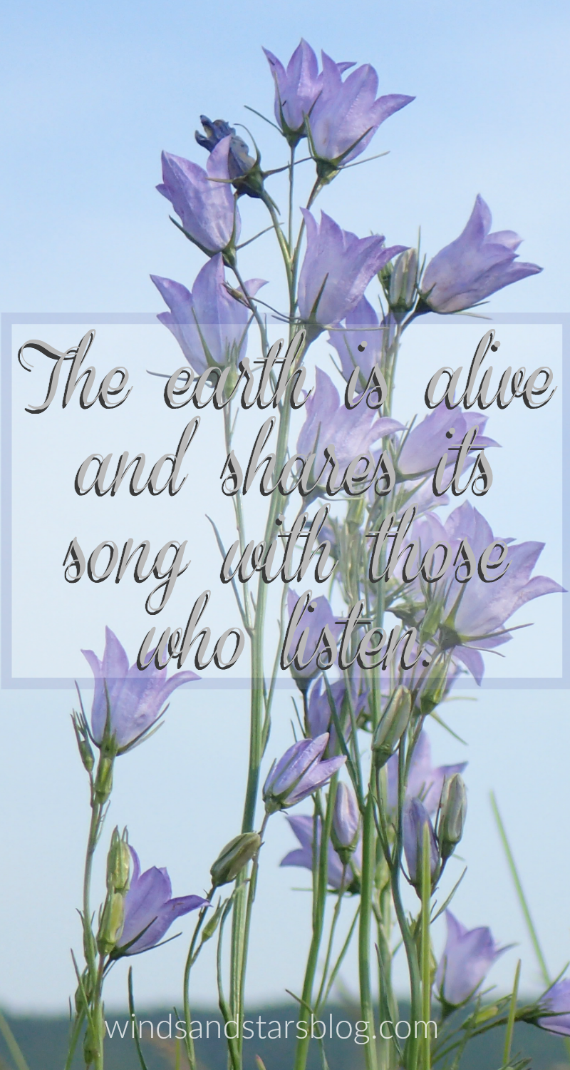 The earth is alive and shares its song with those who listen