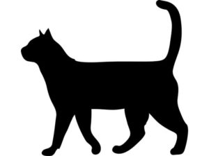 A silhouette of a black cat