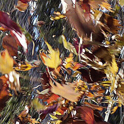 A picture of brown, red and yellow leaves.  All were blurred as the picture was taken as they were thrown into the air.  One yellow leaf in the middle is distinguishable and represents dreams.
