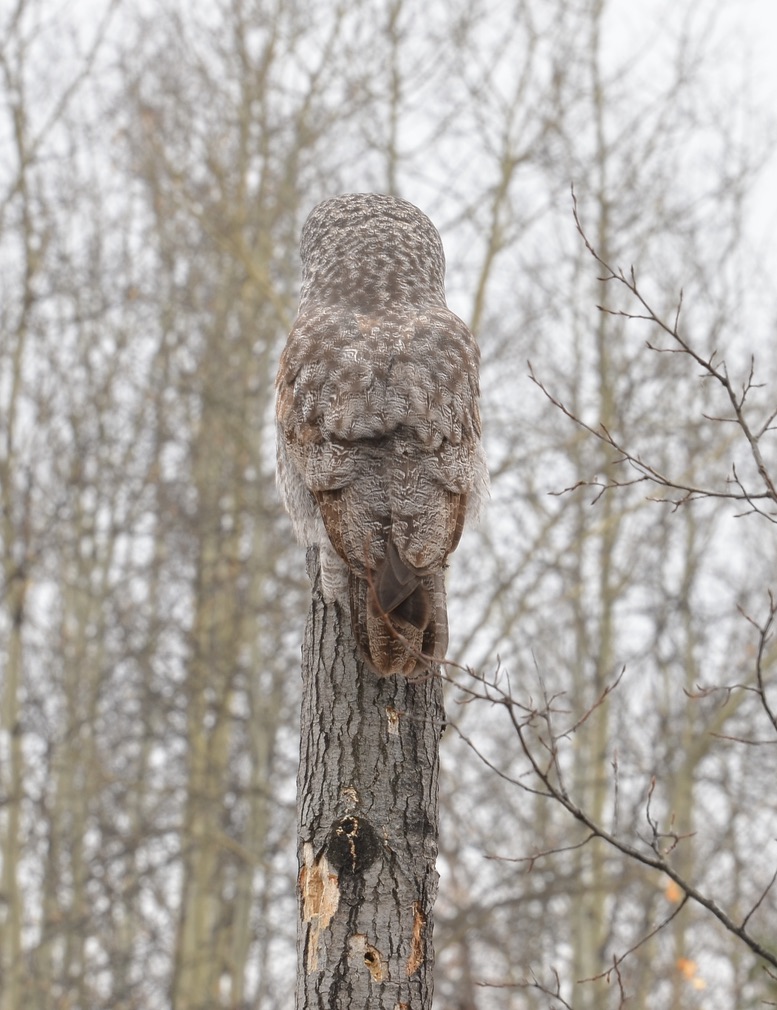 ff7eaf16 bcb4 4948 908f 3e18deb16ee5 1 105 c